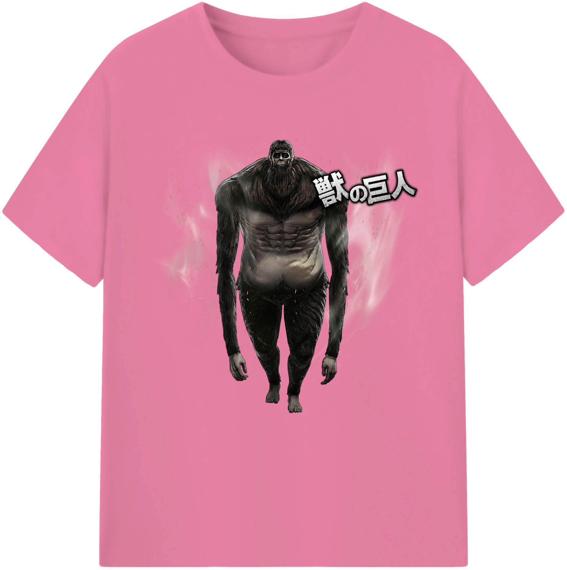 （画像用） 進撃の巨人 Attack on Titan 綿100％半袖Tシャツ（フロントプリント）